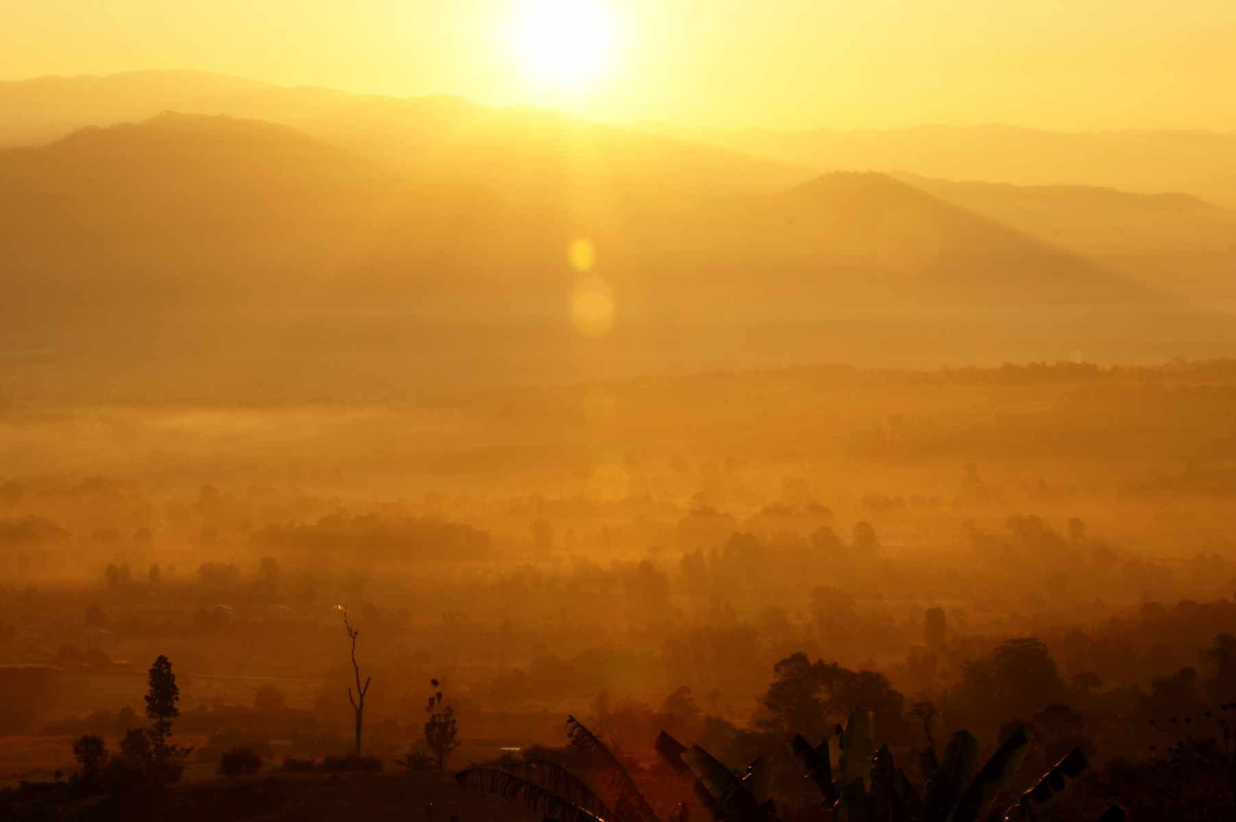 Mental health professionals collaborating